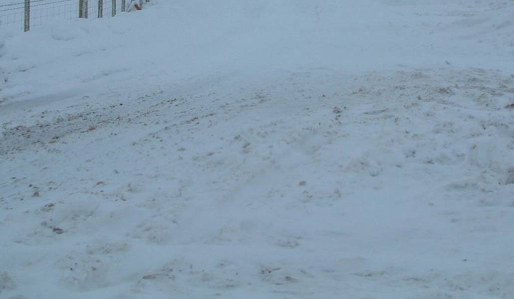 a979a7be9b8db1bae1bdaa02d99a8224