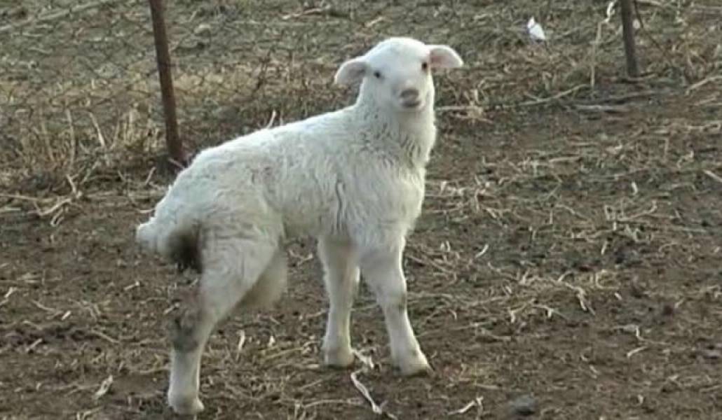 f229ca504e35be0ebc429c33b5f0fcd4