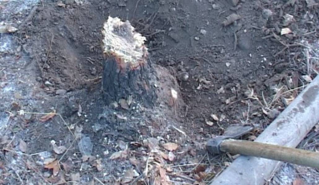 a52718f68e7dae8aea21d08c4ebca6a9