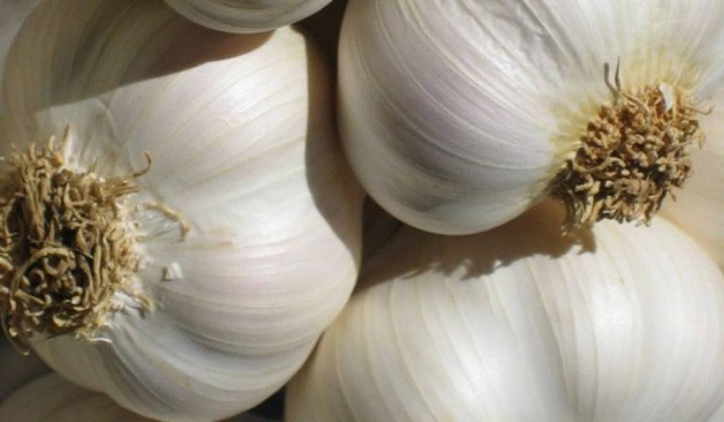 5f411d52de7e4cb3d2ecfcf6b54c891f