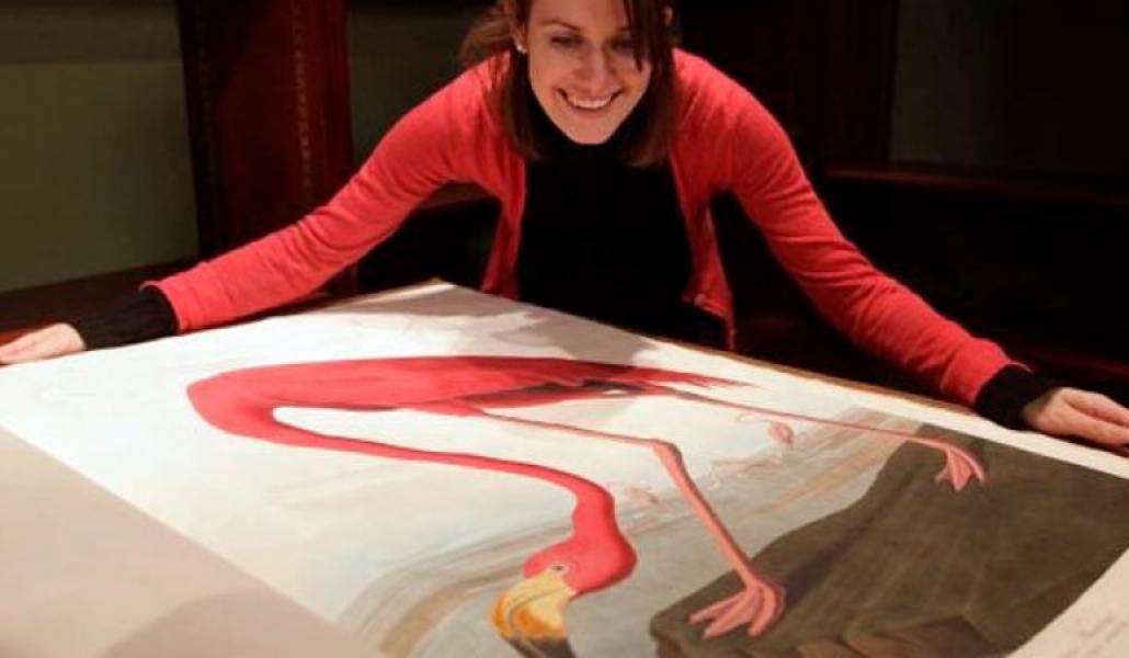 a51ddcbf37e9df162a9e566623ef4f80