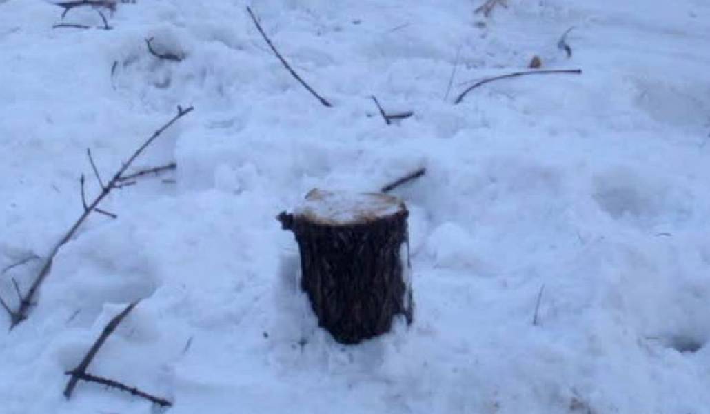 0c74971c93d669b75bd3d93889304e8b