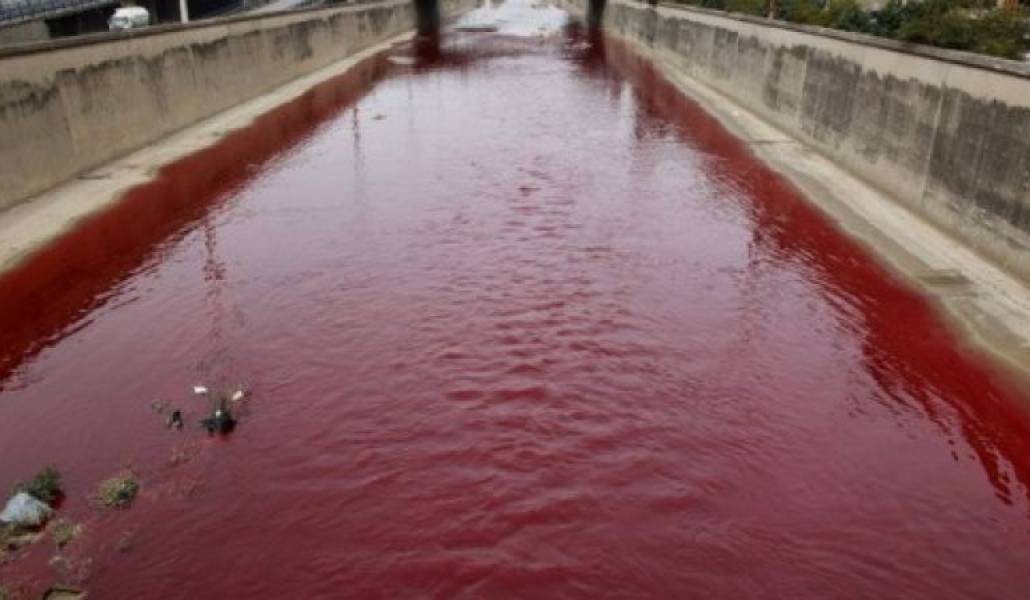 d4ddce7b4a92bd618c2bacc226e09785