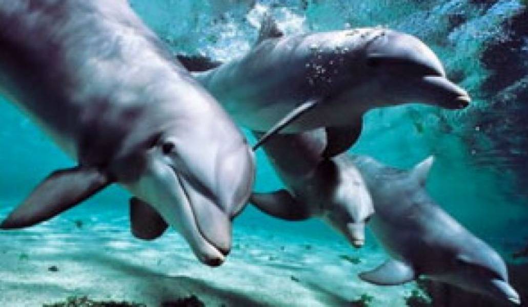 b624e1cd24985ad7b662d2327c6c3aec