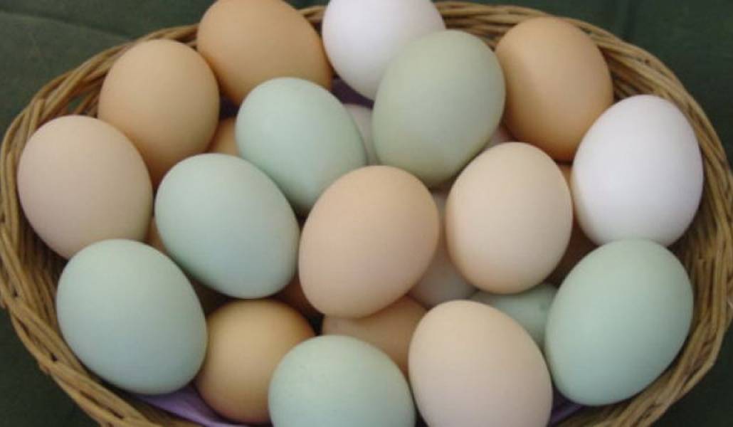 ea7d5420ac466582d550ced6fb22117d