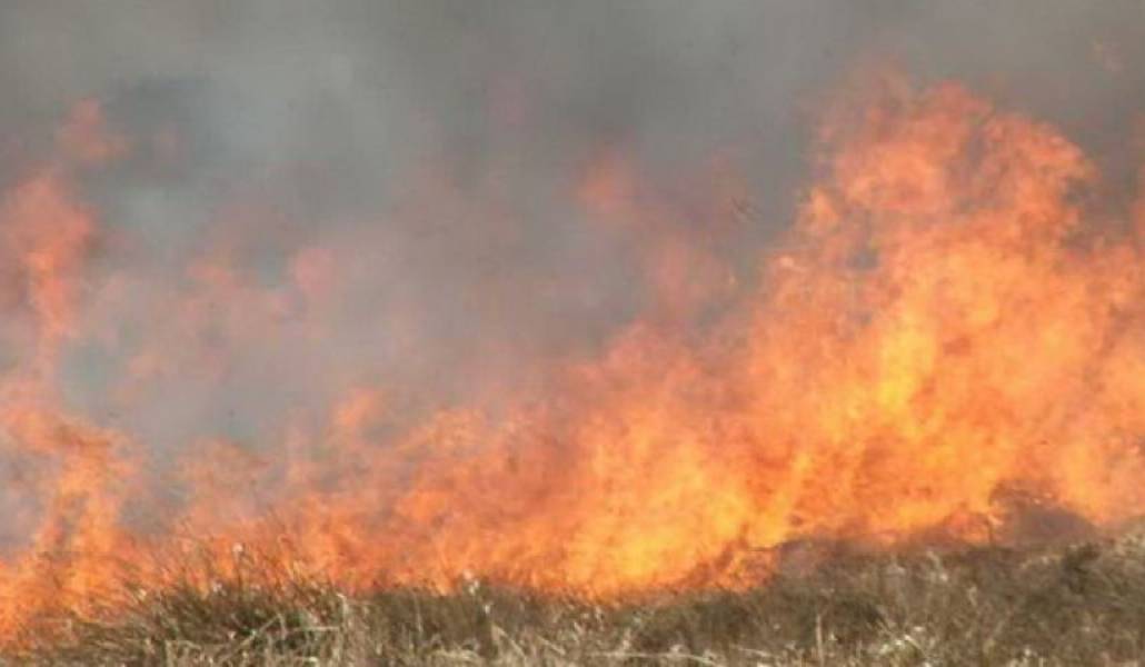 82ecbc4e0373c3109397e66d62cdc5bc