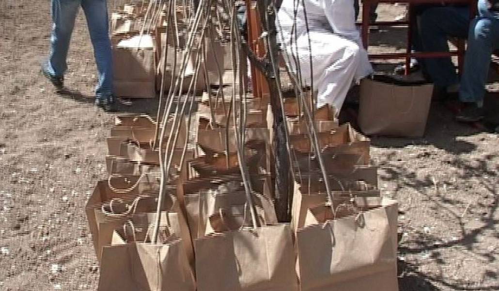 5a5c1e5dbdf1cae1554d450c6f2454fe