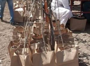 Искусствовед подарила растения