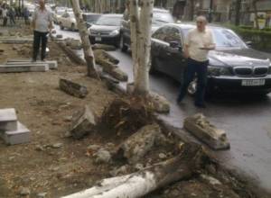 Срубают деревья?