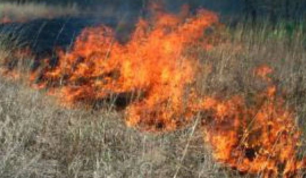 e07bc7b43a8a39dbf35aed543e2140a6