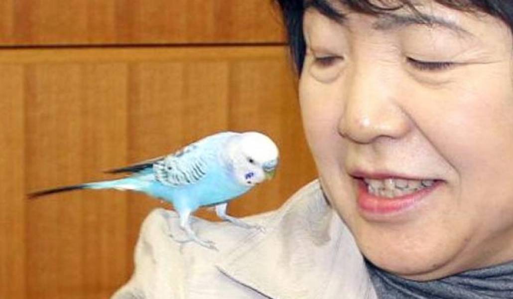 20682f3da1e17917bea26ecb7c45c52c