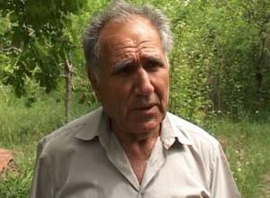 Сады сравняют с землей