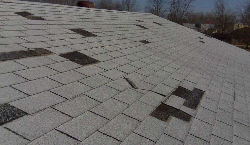 2abfa4eb6e8a5ac5eaf29367401036f3