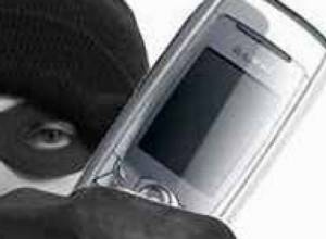 Вор из дома