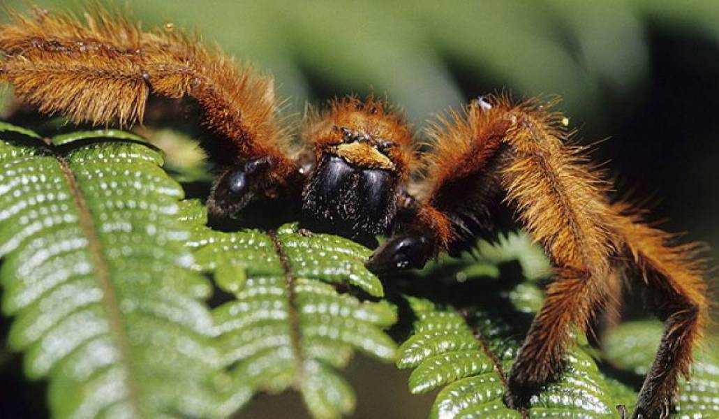 67e18e135c1f972f17899eb9a809309c