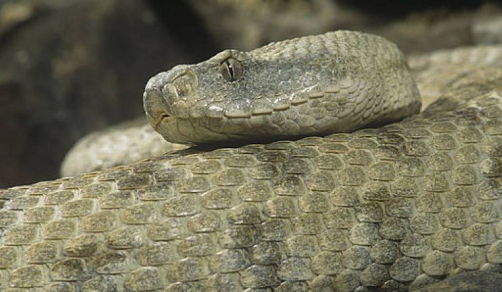 898c3832f0ff88c451e33e2f0a8a6c61