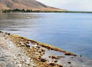 Академик  принял решение выйти из состава комиссии