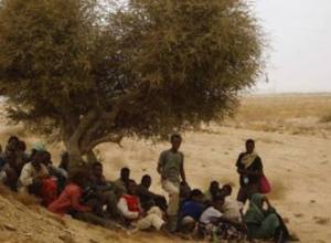 Затонуло судно, перевозящее незаконных мигрантов