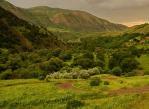 Сигнализируют граждане РА