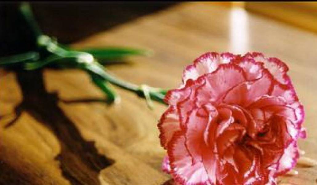 2a7f566ee9f19ff90aac8d374118c399