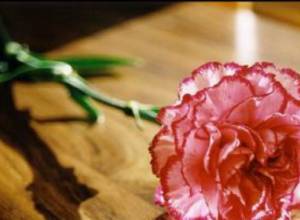 Умерла теща Сержа Саргсяна