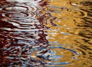 Завтра ожидается дождь