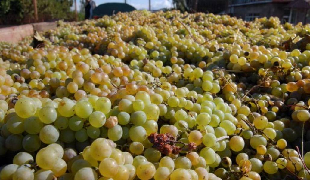 f0d1600d5d22954b29c8147018ecd7c1