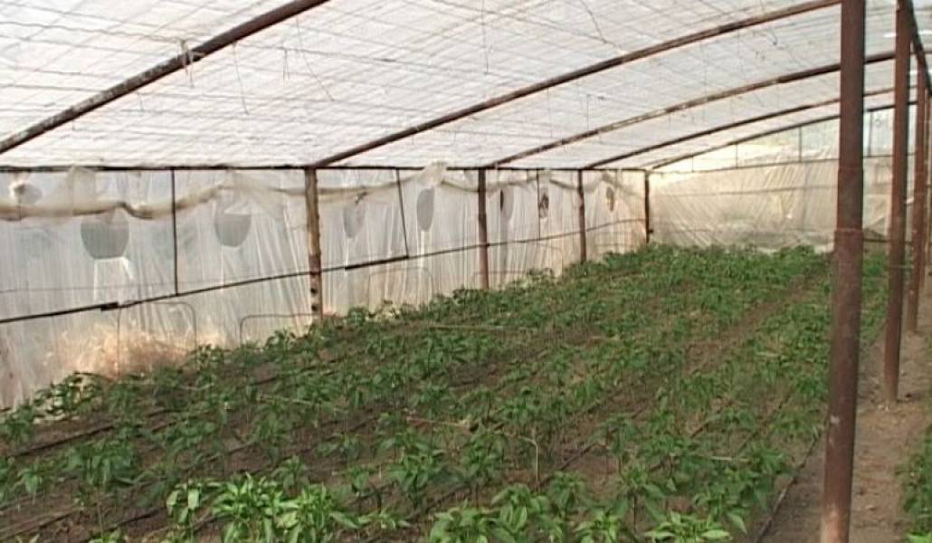 81deacab66135af3c38b5dfe5035e3e7