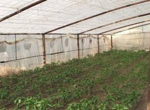 Невозможно договориться с небом