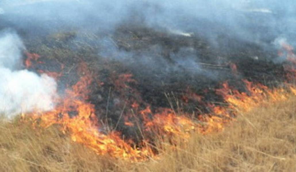 924a0b2c5a0c608ed484c727a74c4453