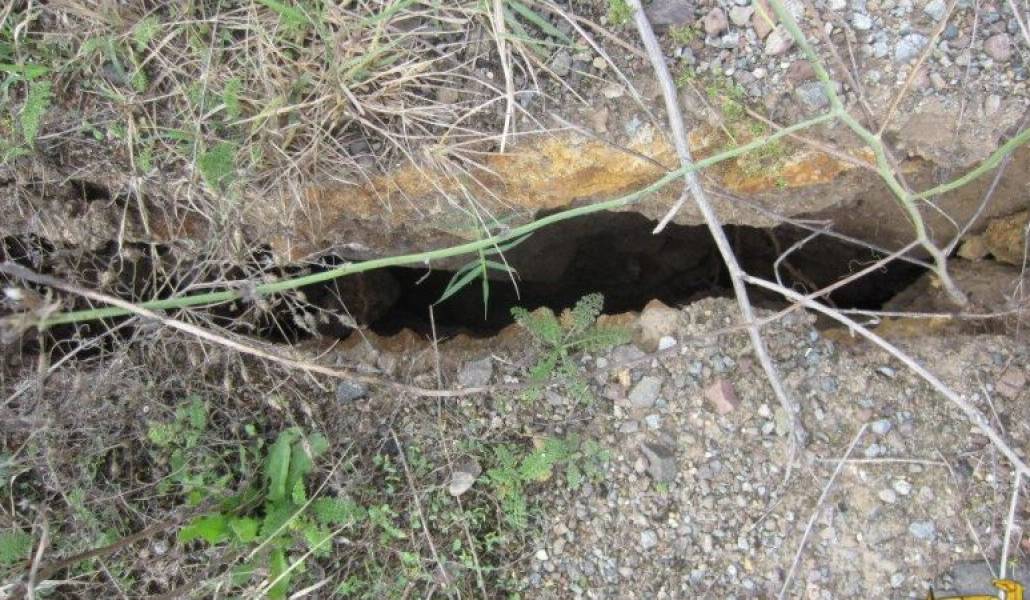 42cd30942e628df76c8a5e3566b191ac