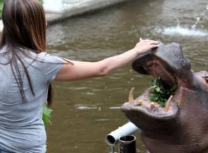 Праздник в Зоопарке