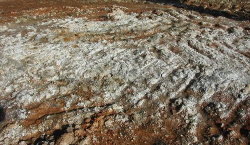 54a297c0fe14b2cfded6c04cf68eaeb4