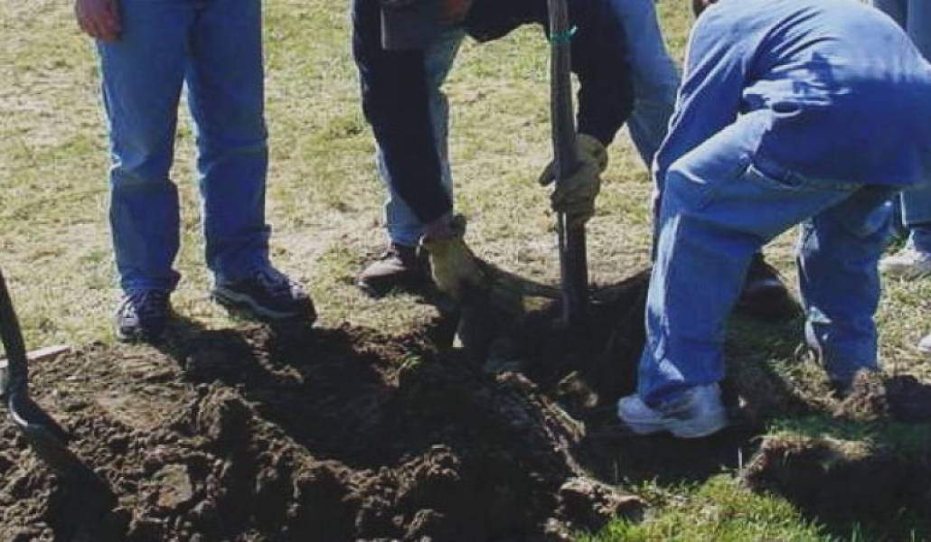 34981c339fbae78ce5b0f5396460d7a5