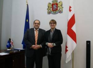 Новоназначенный министр приняла посла