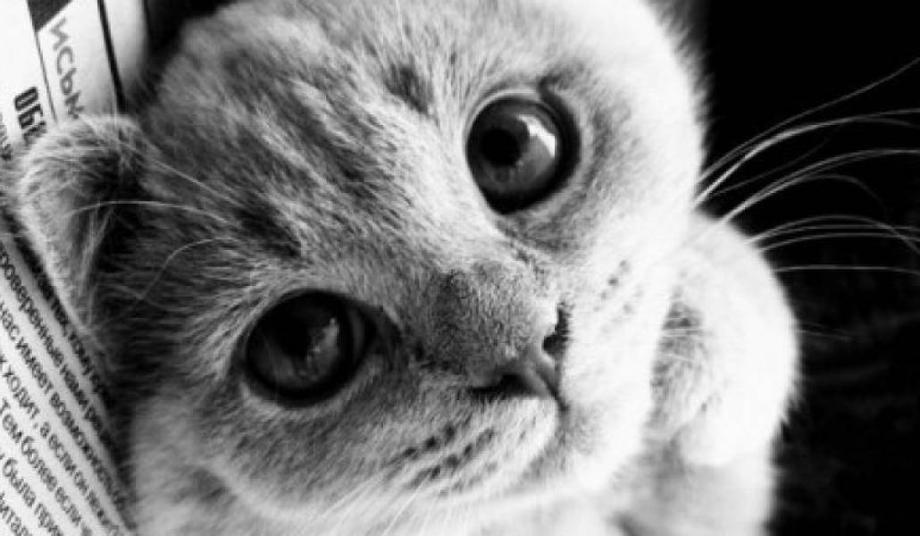 098e5531a0766c031398c6053f3e48d6