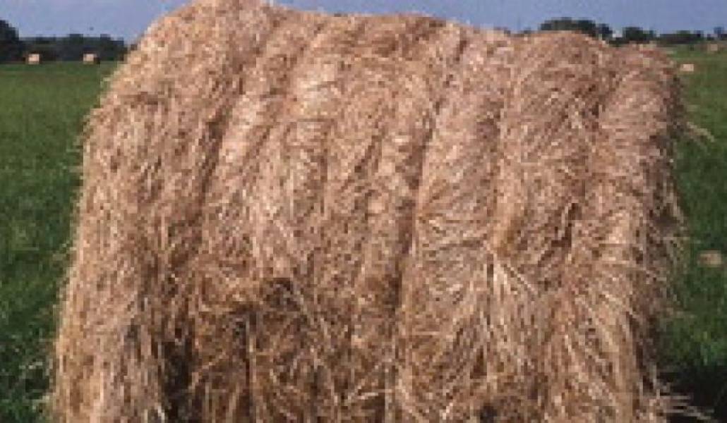 0092506fc20a3c5b1dfc7f89cc05d1dc