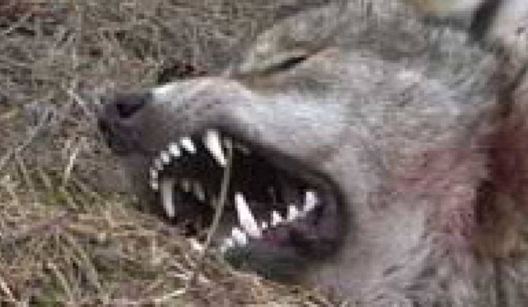 92b31417224536414232012e0b0f77f6