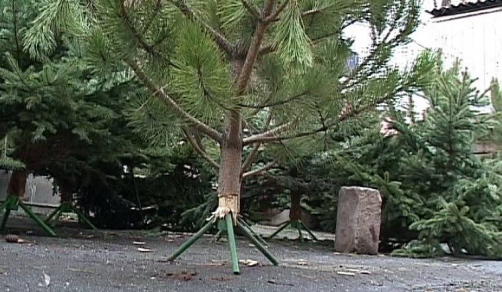 df68dc46a45b8ba7dda9eb318b6f2d2a