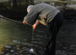 Отравленная рыба в реке Раздан