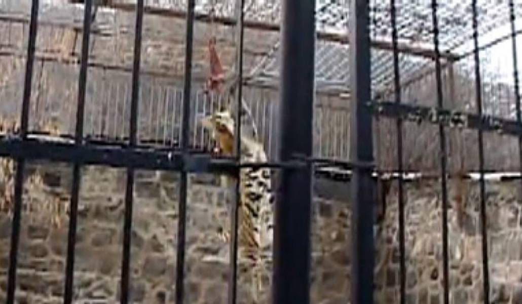 0ff36724e84ac5aacc0343d71ed43088