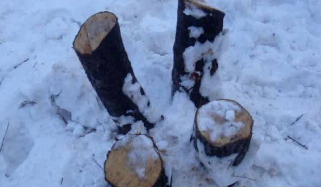 b47c85f3ce901332bbe426d5489c5a26