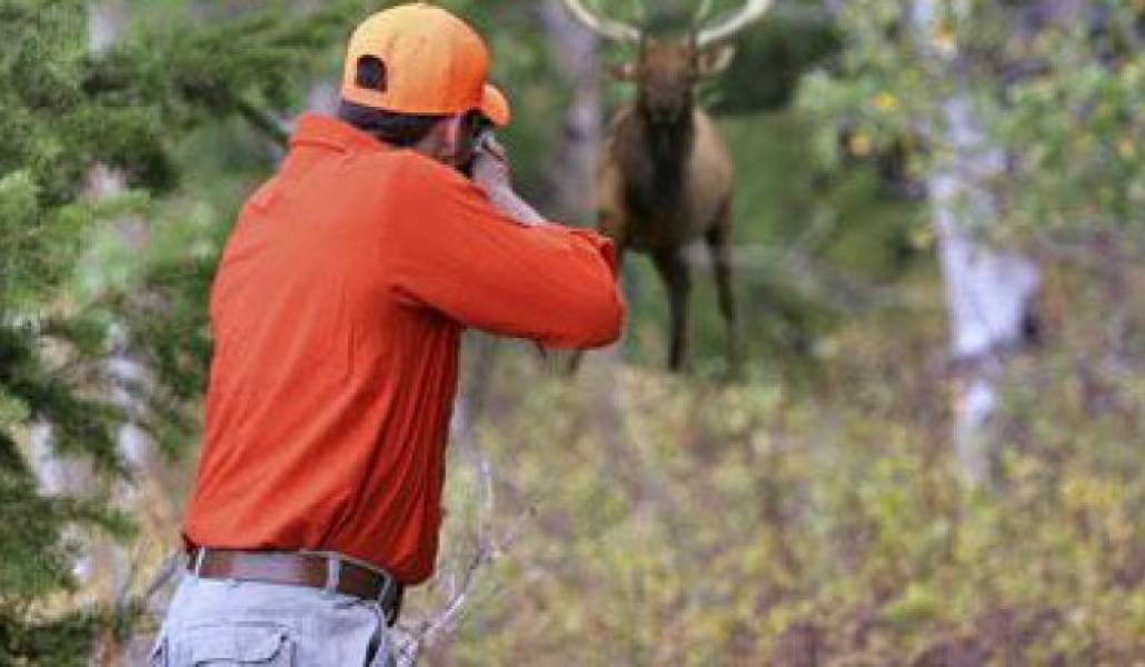 d84a3f09e19ab944b8486aab37b5a87e