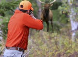«Охотники браконьерством не занимаются»