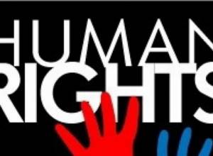 Как организовать образование в области прав человека