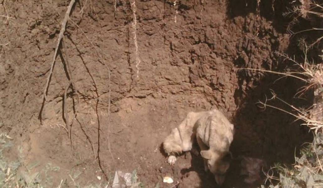 572124c77db4181955a464ccedf40046