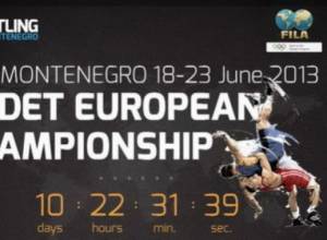 2 медали в 10 категориях