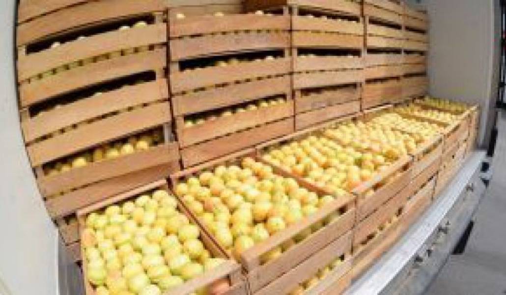 c84cc39462efb8c8e6dea6c345a6eb21