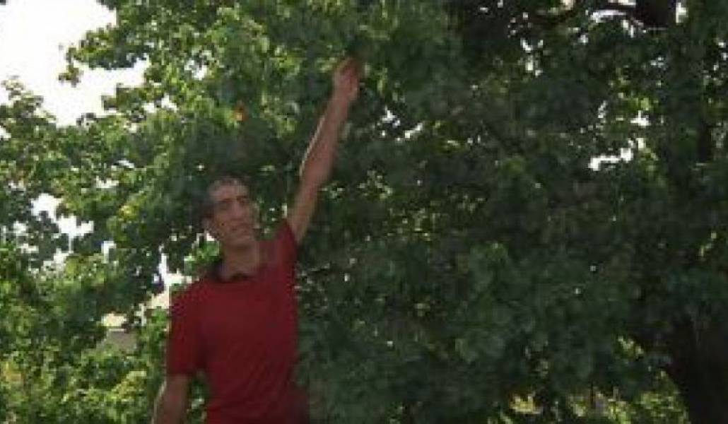 6ebd268ecd9e2572c417dfff5721f9b8