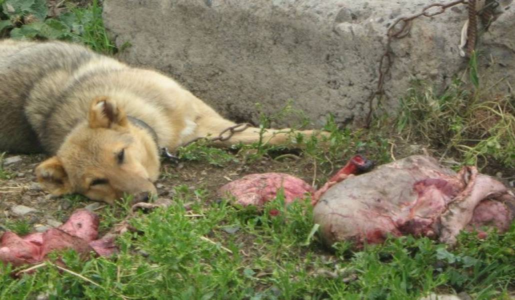 3e2b3465daacae9d6c714e93774e9db0